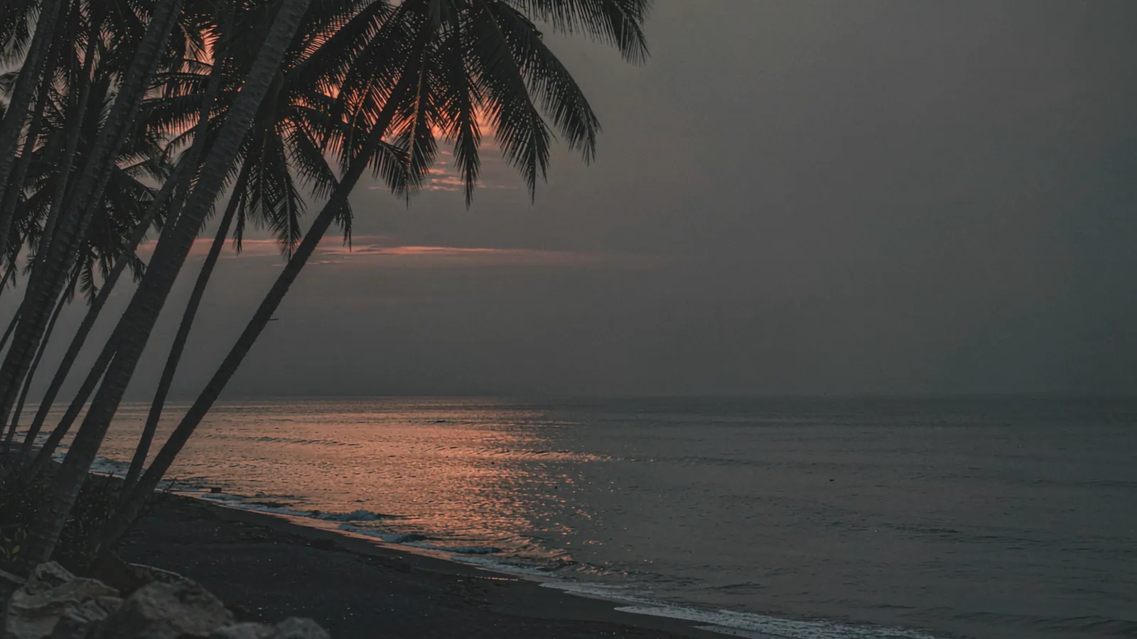 Praia de areia branca em Sanya com coqueiros ao amanhecer