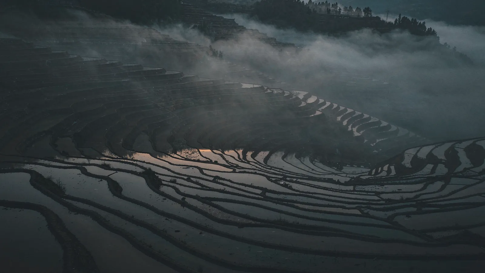 Socalcos de arroz de Yuanyang ao amanhecer com névoa no fundo do vale